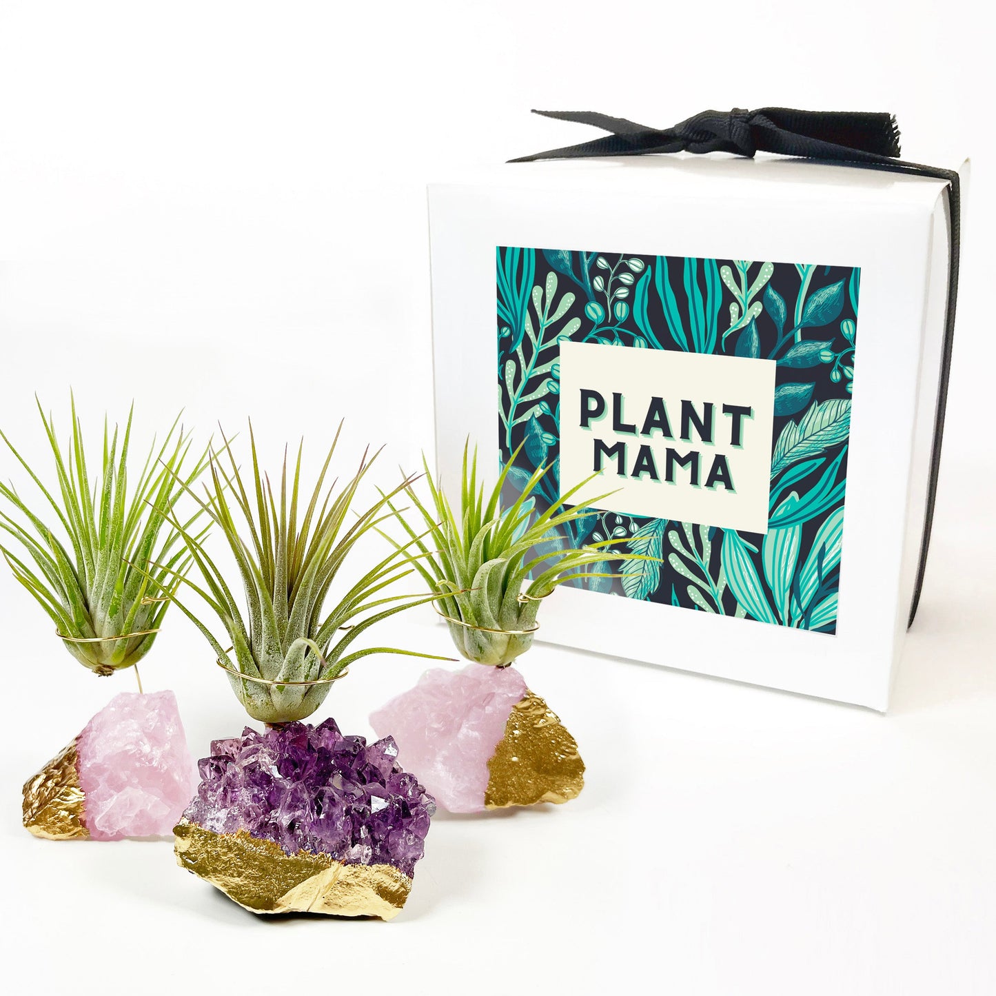 Small Gold Dipped Amethyst / Rose Quartz Crystal Air Plant Holders (Set of 3)