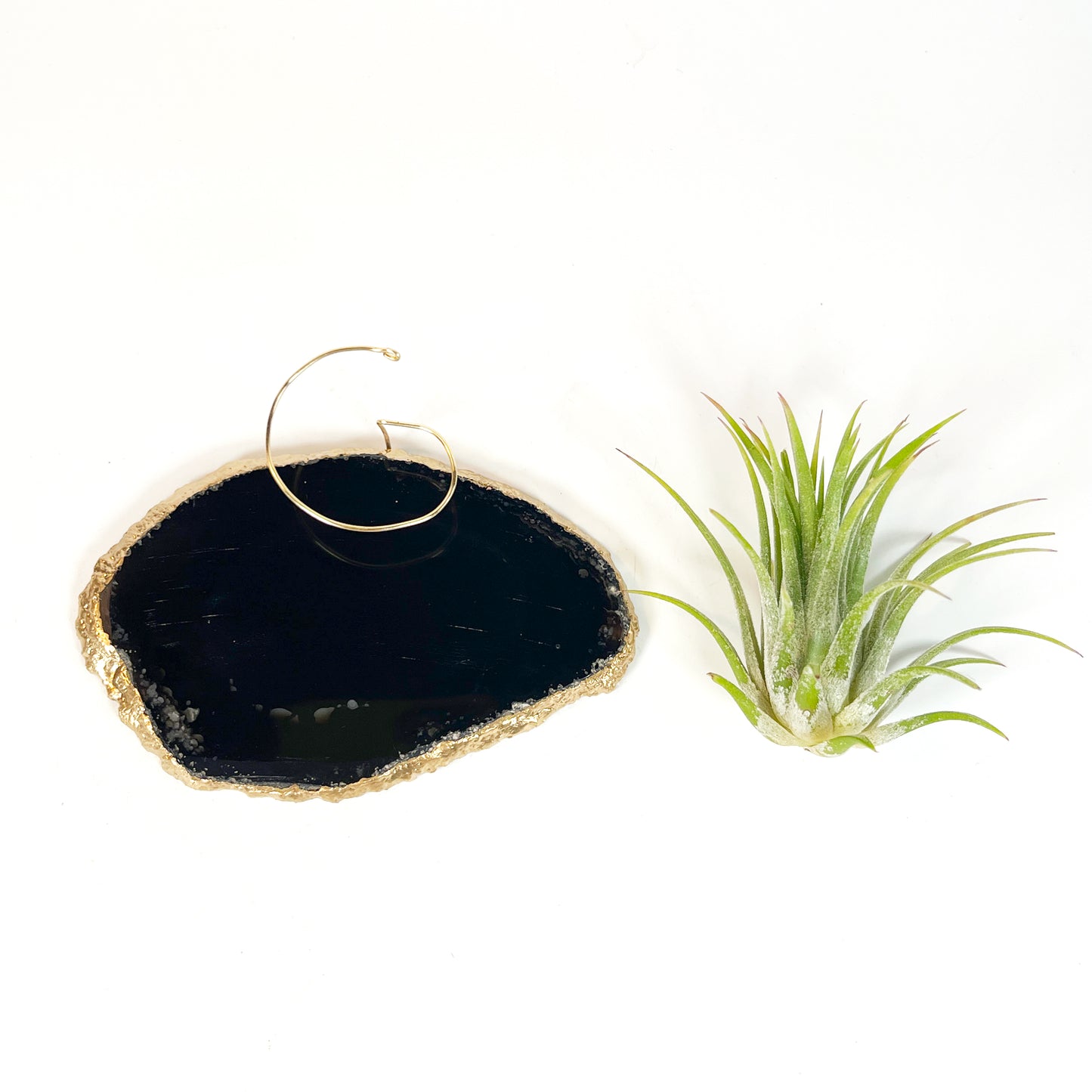 Black Agate Slice Crystal Air Plant Holder - Tillandsia Ionantha Guatemala Plant and Gift Box Included