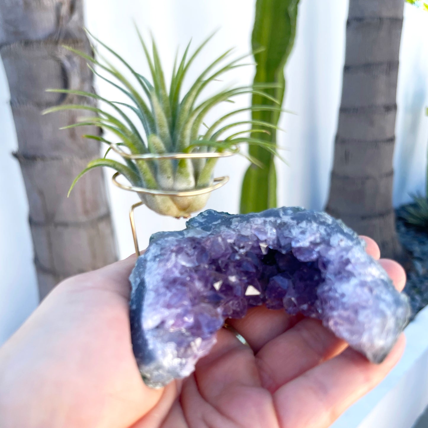 One-of-a-kind Half Moon Shaped Purple Amethyst Crystal Air Plant Holder - Includes Gift Box and Healthy Tillandsia