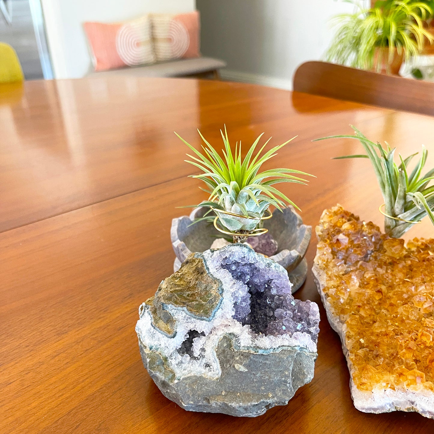 Rare Natural Amethyst Crystal with Cave like Design Air Plant Holder - Unique Crystal and Plant Center Piece