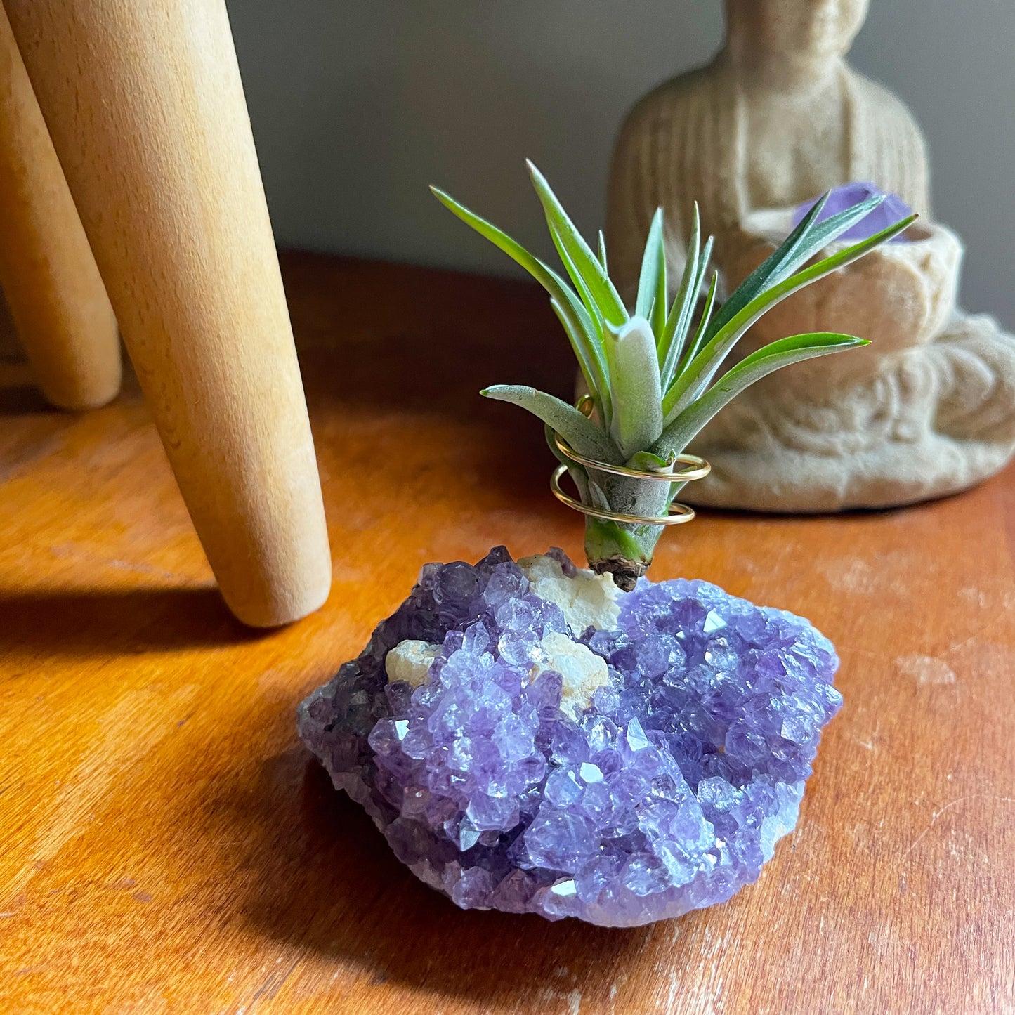 One-of-a-Kind Amethyst Crystal with Unique Calcites Air Plant Holder - Plant and Crystal Lover Gift