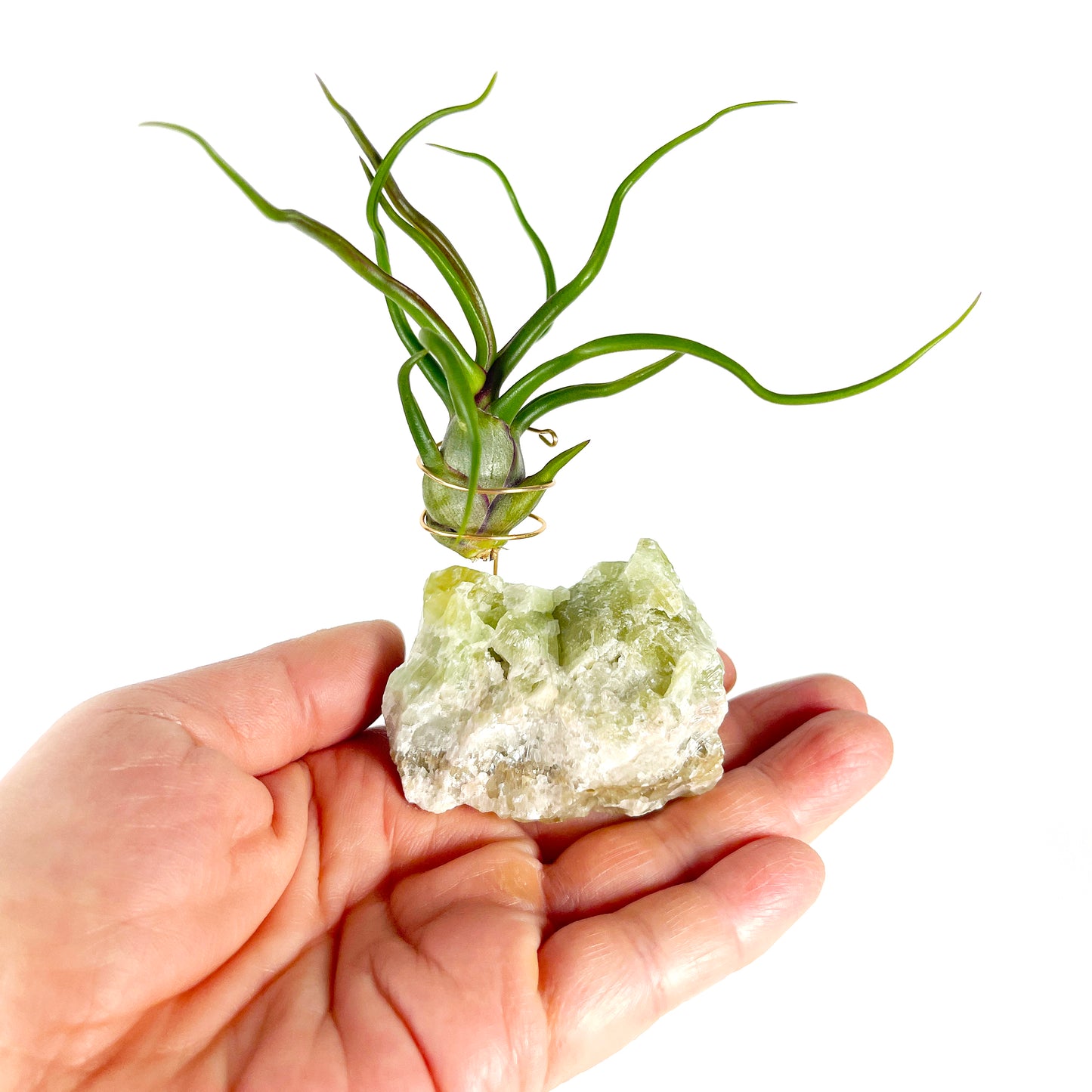 Rare Green Calcite Gemstone Air Plant Holder - One-of-a-kind Gift for Tillandsia and Crystal Lovers
