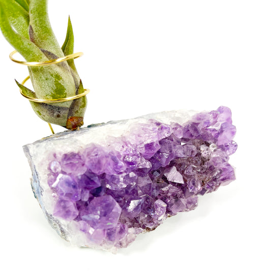 All About Amethyst: The Crystal for Peace, Protection, and Purity