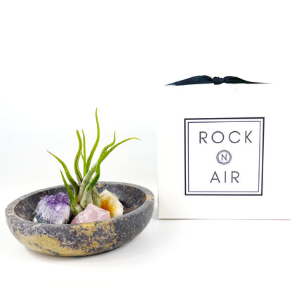 Housewarming Gifts - 4" Scallop Detail Marble Bowl Air Plant Display with Crystals, Includes Air Plant, Amethyst, Citrine, Rose Quartz