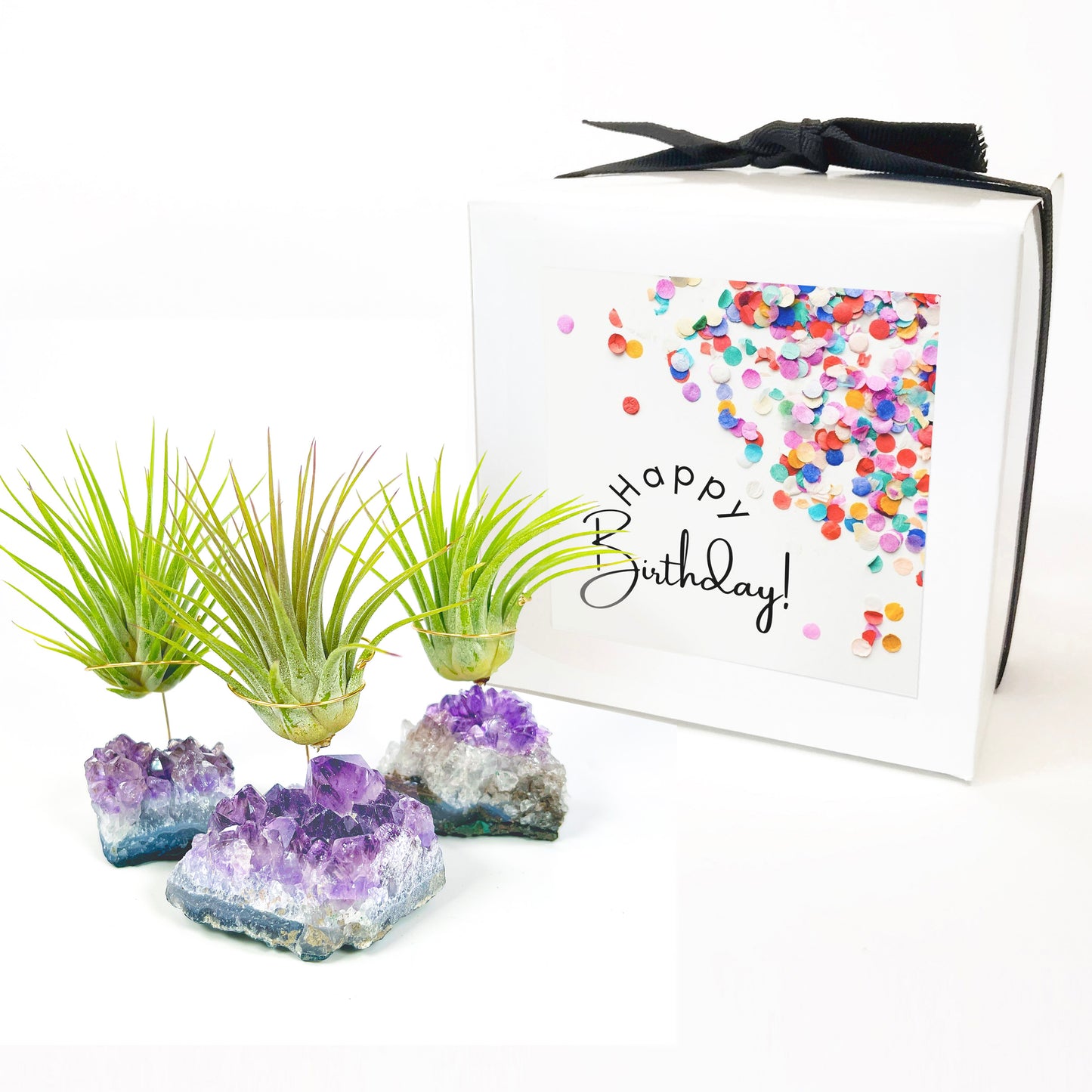 Unique Birthday Gift - Small Amethyst Air Plant Holders (Set of 3)