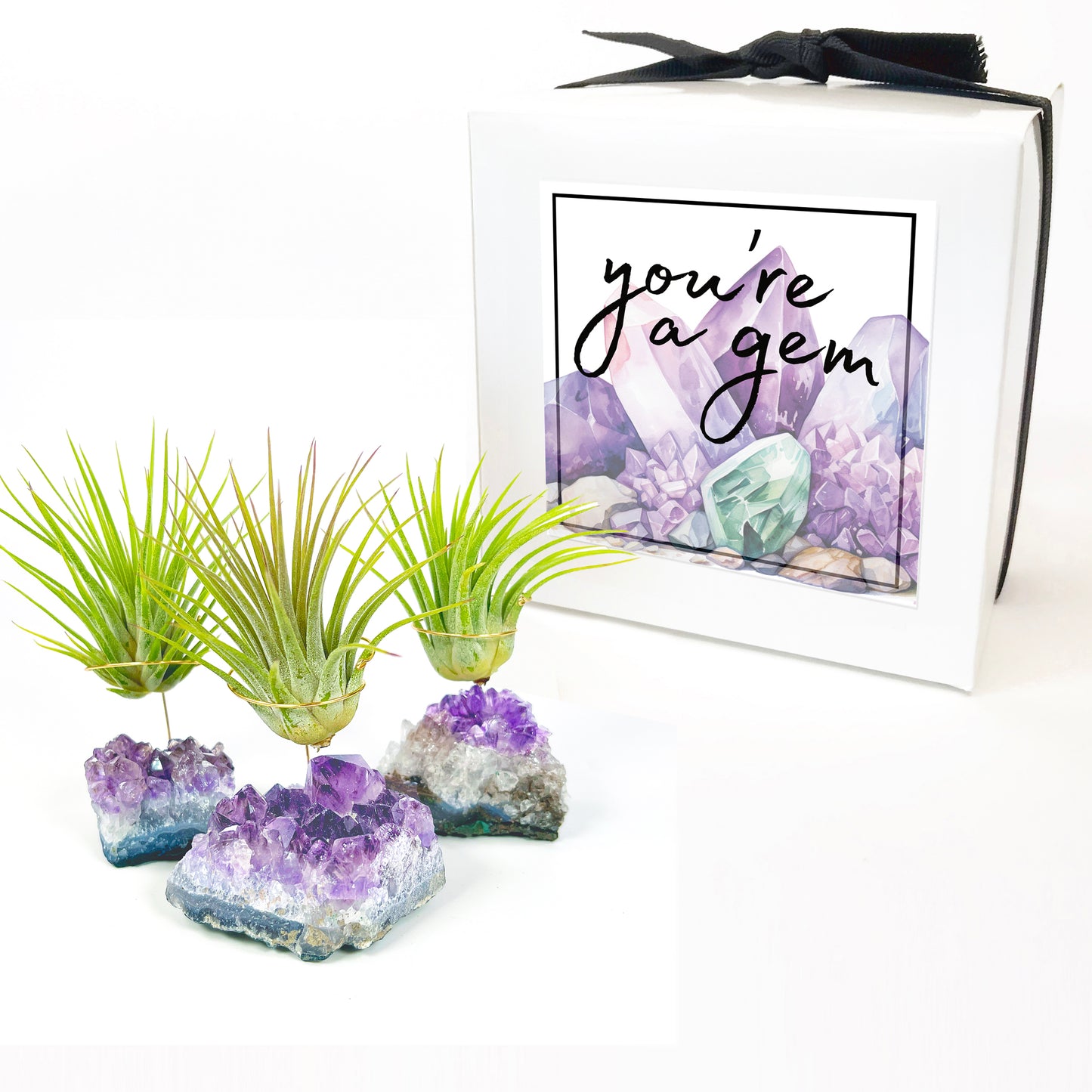 Thank You Gift - Small Amethyst Air Plant Holders (Set of 3)