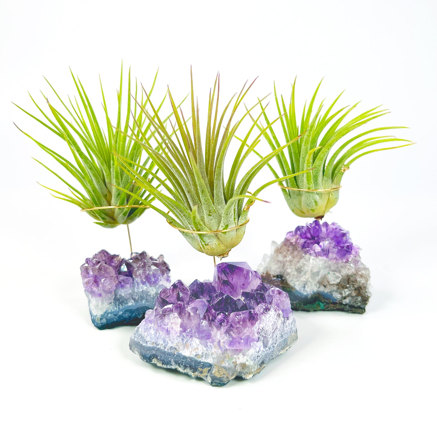 amethyst air plant Small Amethyst Air Plant Holders (Set of 3)