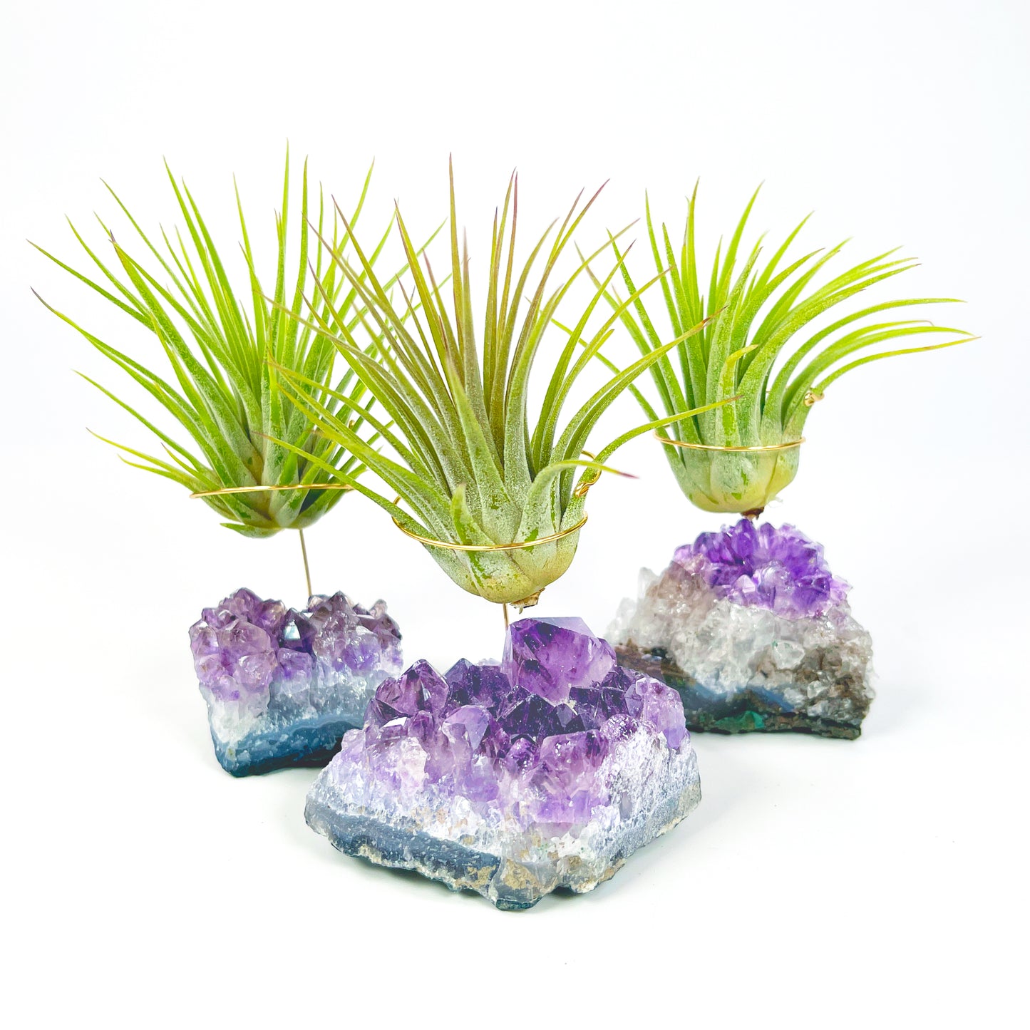 Thank You Gift - Small Amethyst Air Plant Holders (Set of 3)