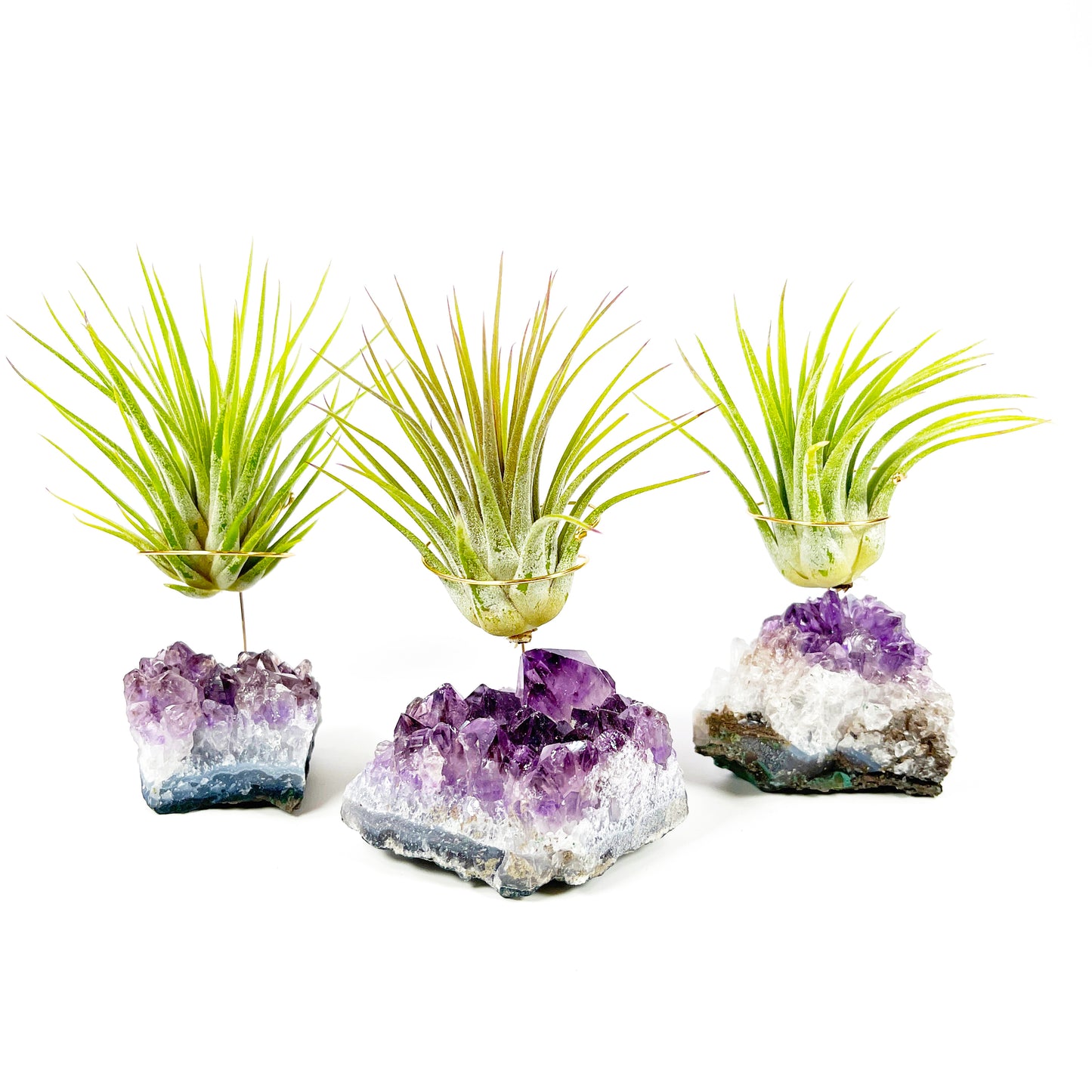 Thank You Gift - Small Amethyst Air Plant Holders (Set of 3)