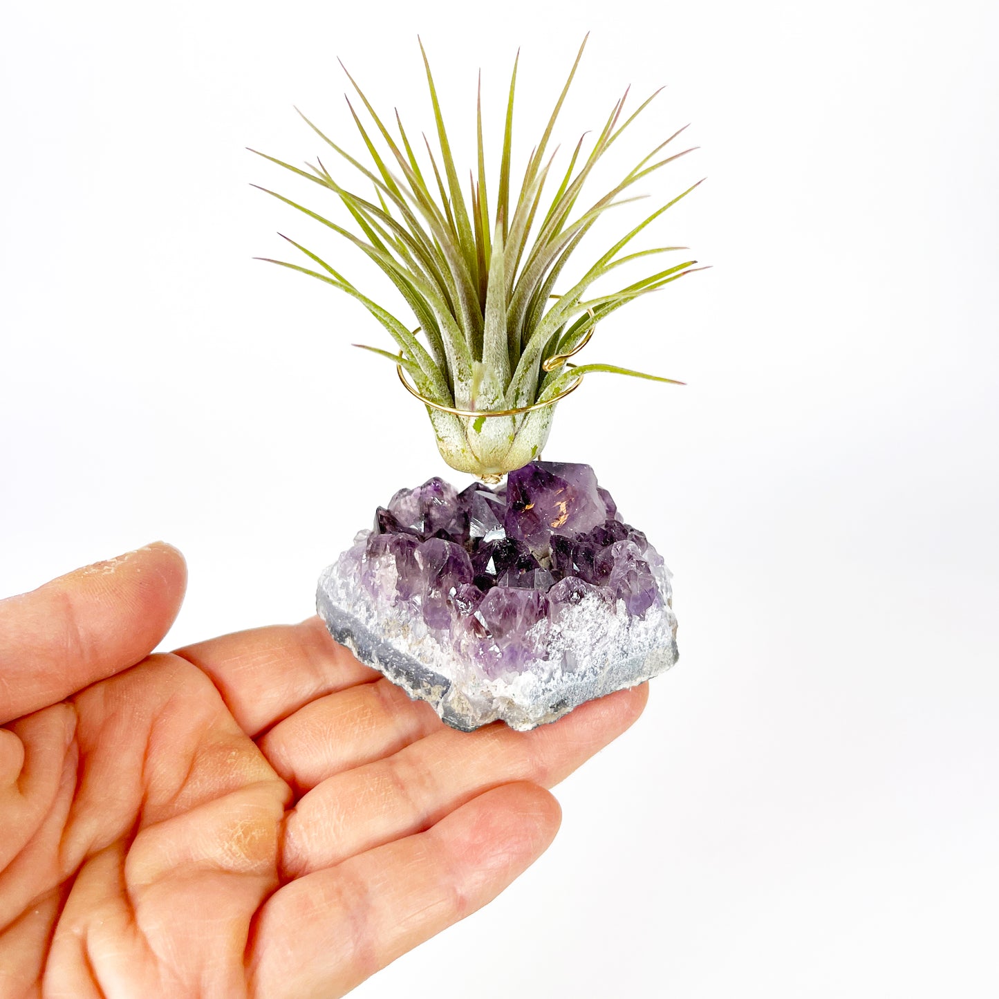 Thank You Gift - Small Amethyst Air Plant Holders (Set of 3)