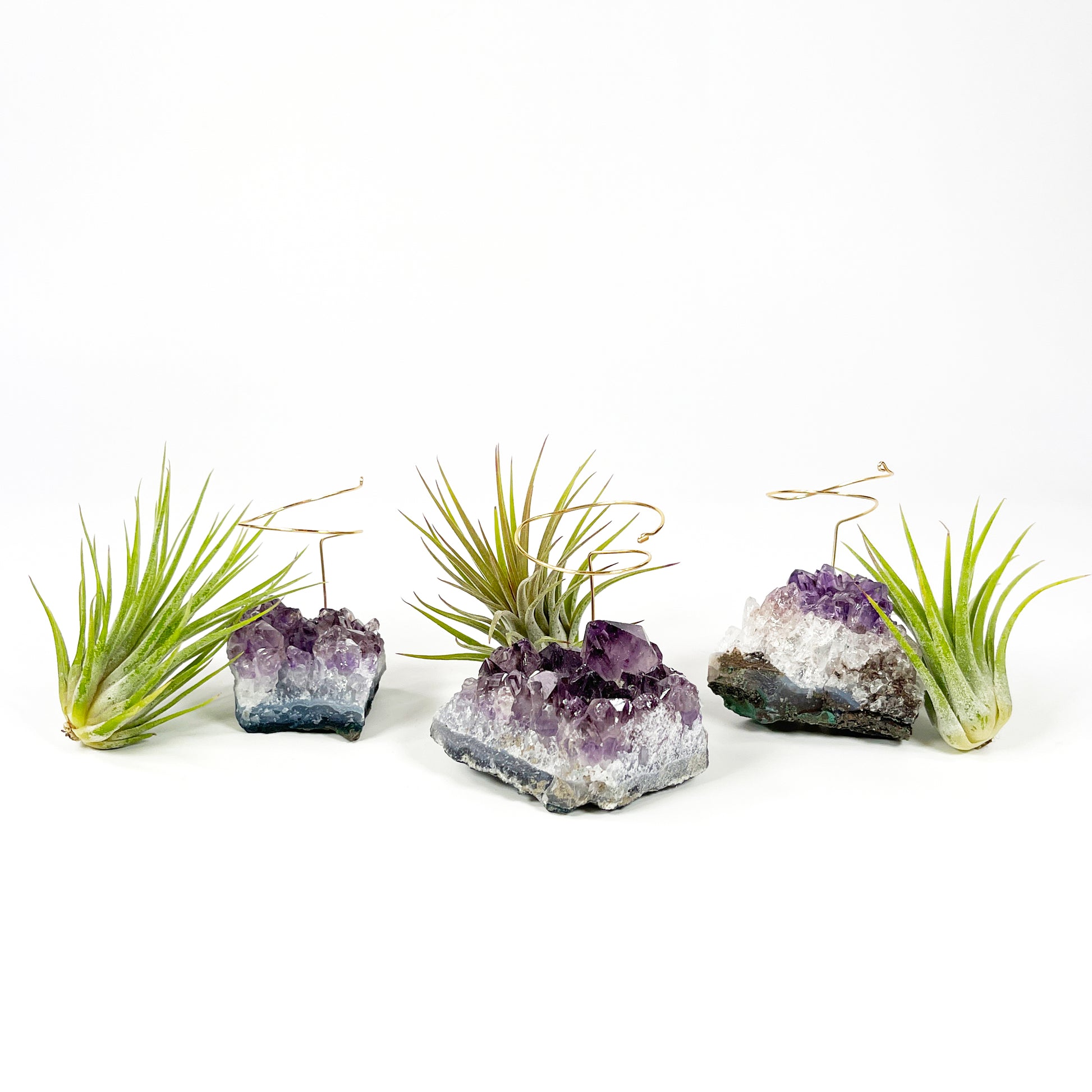 small artificial air plants Small Amethyst Air Plant Holders (Set of 3) – Rock n Air Studio