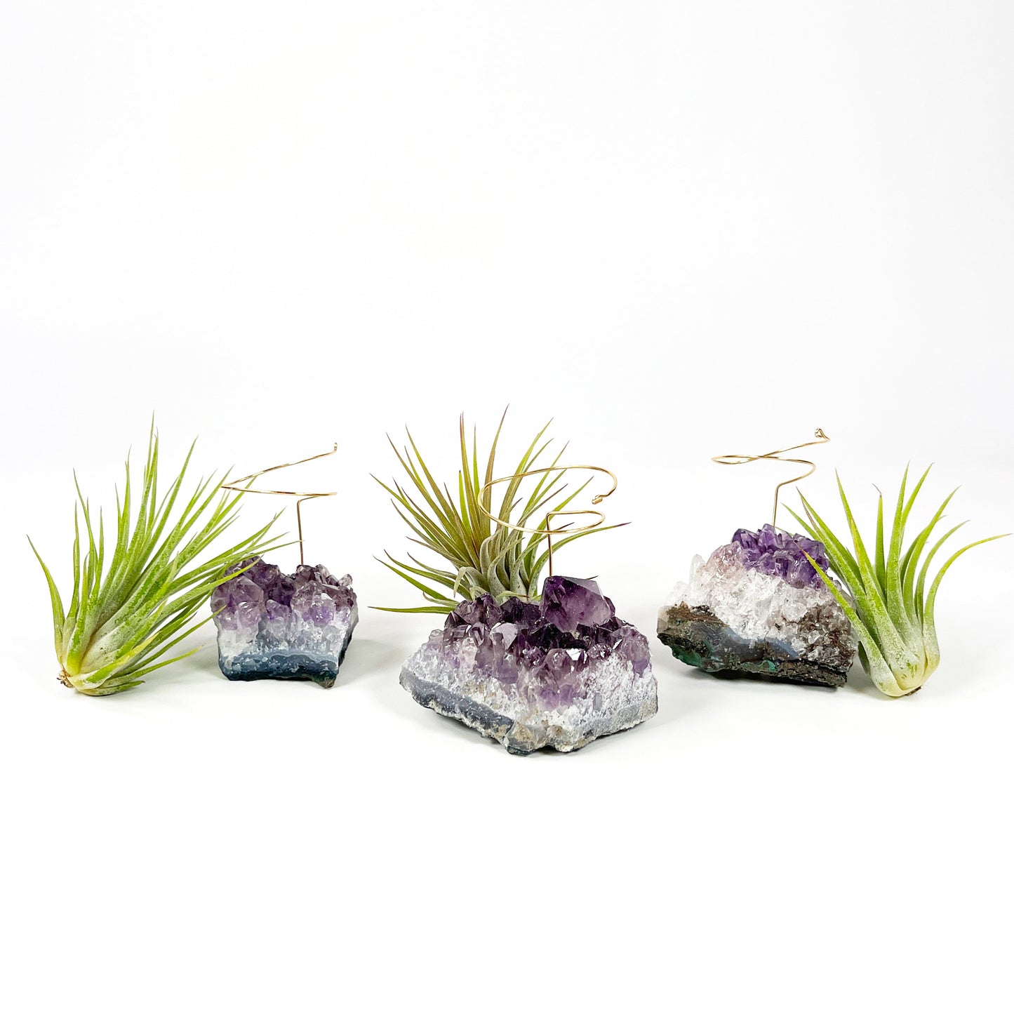 Unique Birthday Gift - Small Amethyst Air Plant Holders (Set of 3)