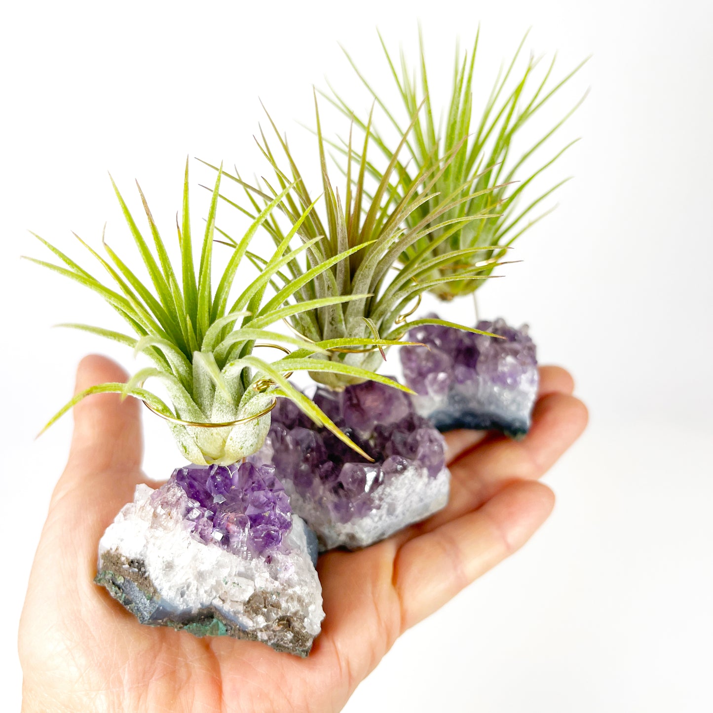 Thank You Gift - Small Amethyst Air Plant Holders (Set of 3)