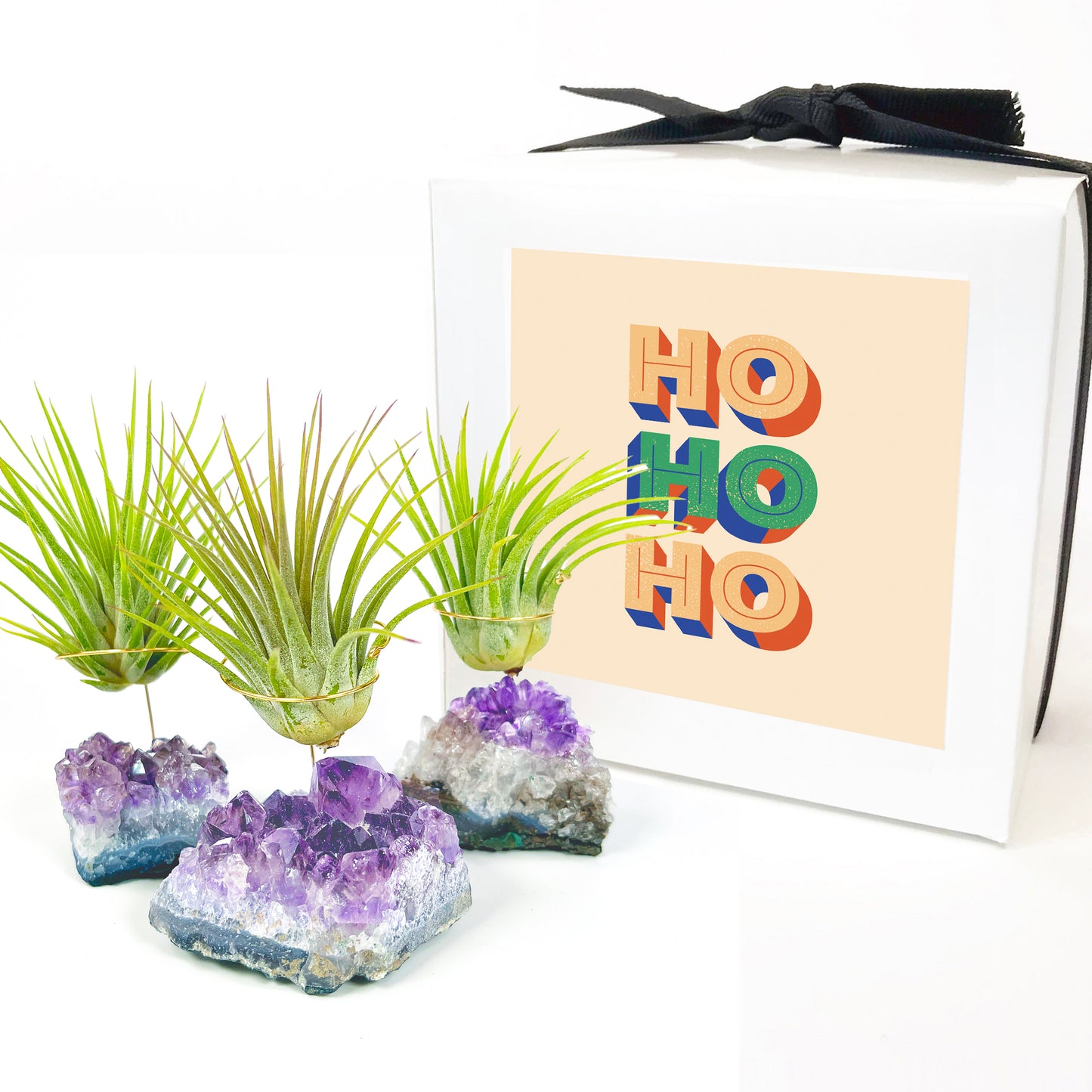 Small Amethyst Air Plant Holders (Set of 3)