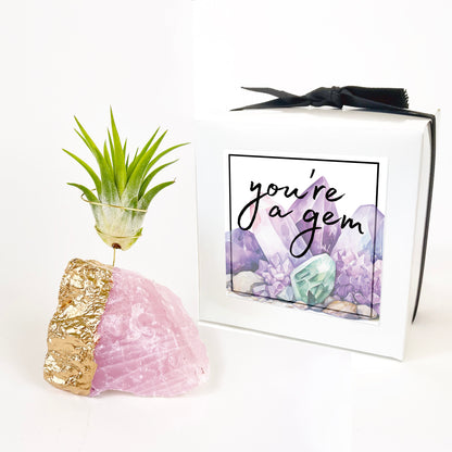 Thank You Gift - Gold Dipped Rose Quartz Air Plant Holder