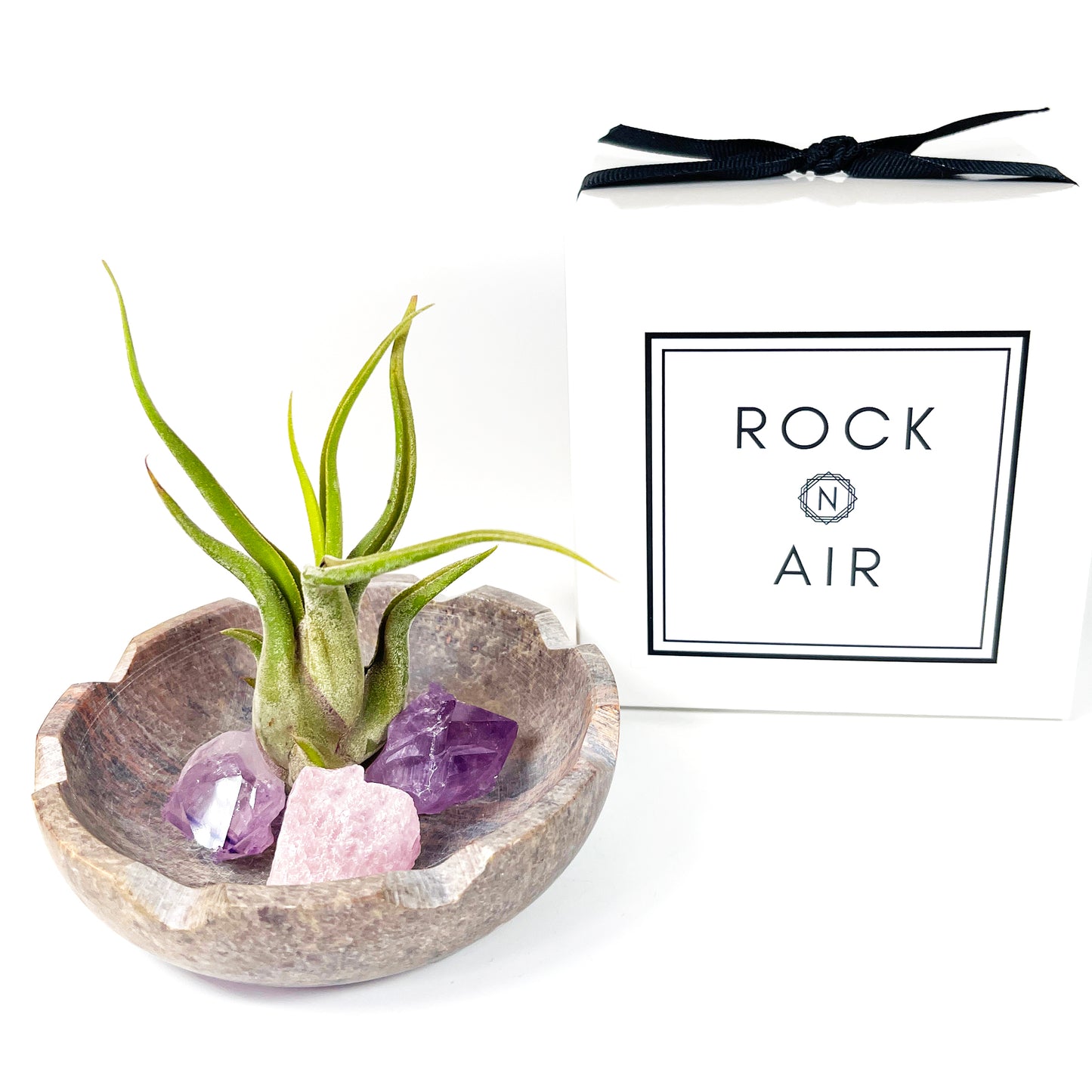 Natural Lotus Carved Stone Bowl for Crystals and Tillandsia - Includes Healthy Air Plant, Amethyst and Rose Quartz Gemstone
