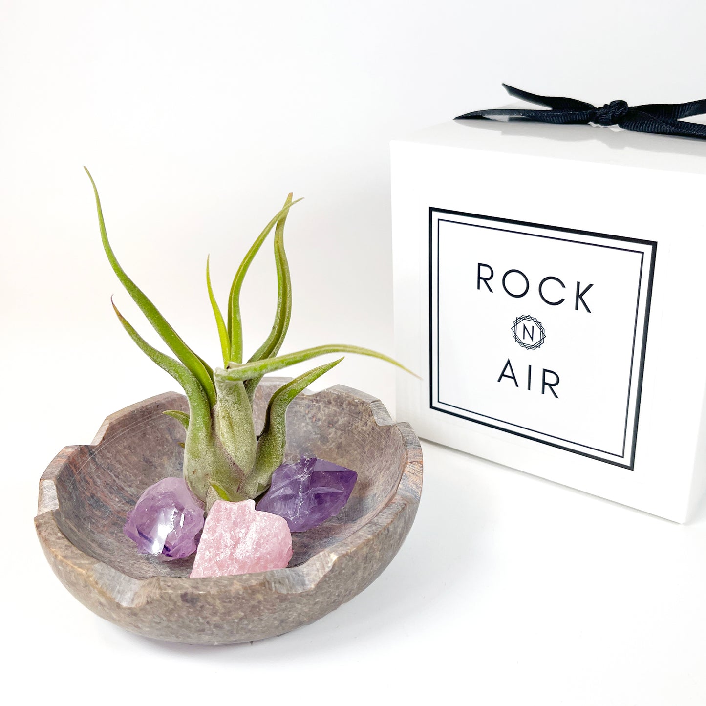Natural Lotus Carved Stone Bowl for Crystals and Tillandsia - Includes Healthy Air Plant, Amethyst and Rose Quartz Gemstone