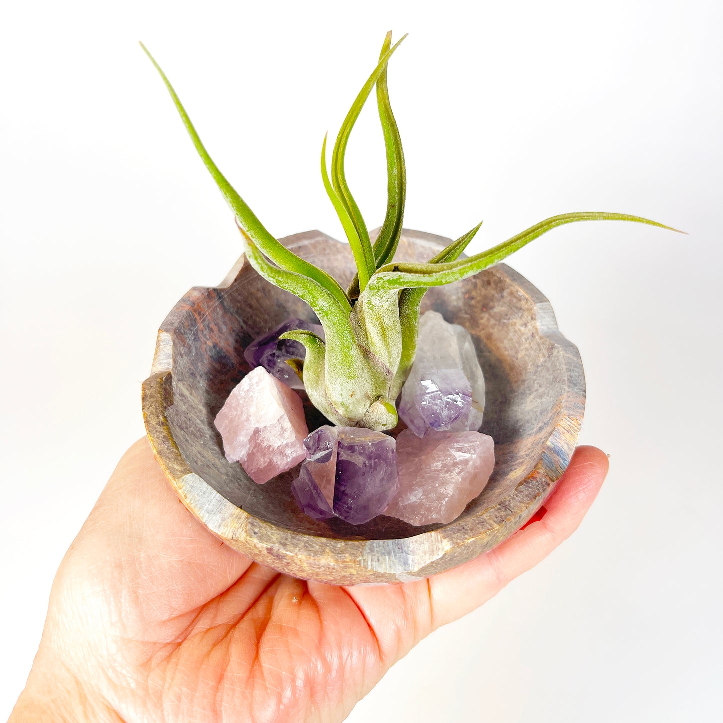 Natural Lotus Carved Stone Bowl for Crystals and Tillandsia - Includes Healthy Air Plant, Amethyst and Rose Quartz Gemstone