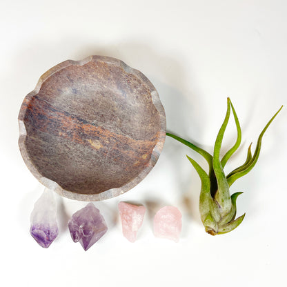 Natural Lotus Carved Stone Bowl for Crystals and Tillandsia - Includes Healthy Air Plant, Amethyst and Rose Quartz Gemstone