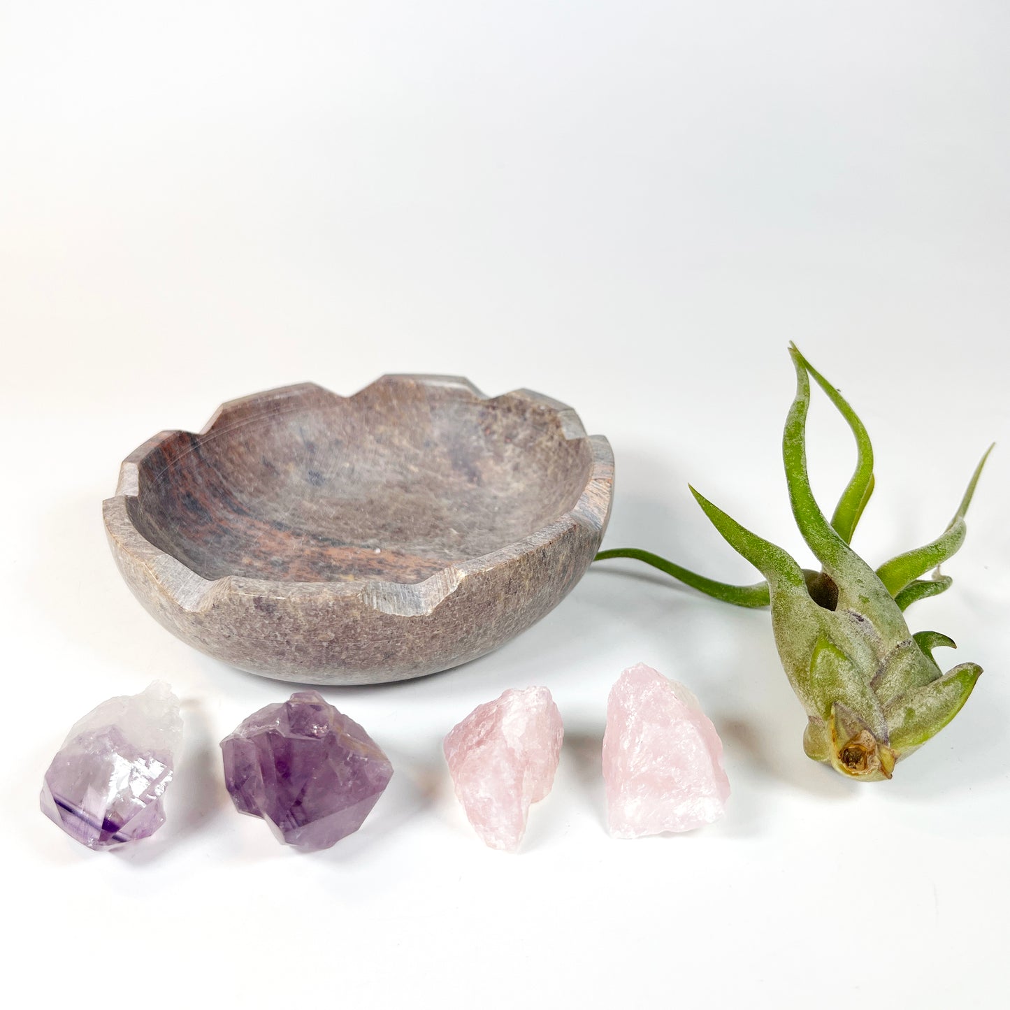 Natural Lotus Carved Stone Bowl for Crystals and Tillandsia - Includes Healthy Air Plant, Amethyst and Rose Quartz Gemstone