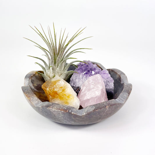 4" Scallop Detail Marble Bowl Air Plant Display with Crystals, Includes Air Plant, Amethyst, Citrine, Rose Quartz