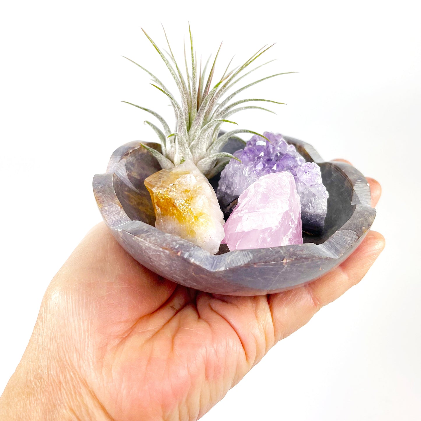 4" Scallop Detail Marble Bowl Air Plant Display with Crystals, Includes Air Plant, Amethyst, Citrine, Rose Quartz