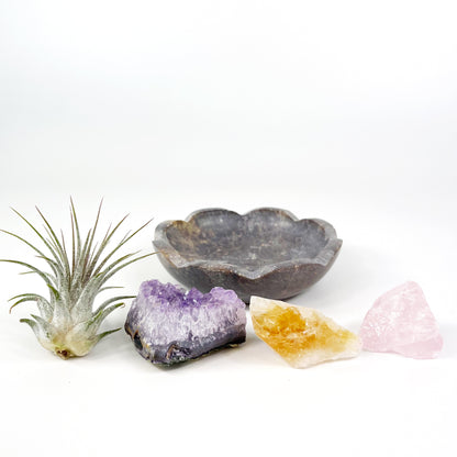 4" Scallop Detail Marble Bowl Air Plant Display with Crystals, Includes Air Plant, Amethyst, Citrine, Rose Quartz