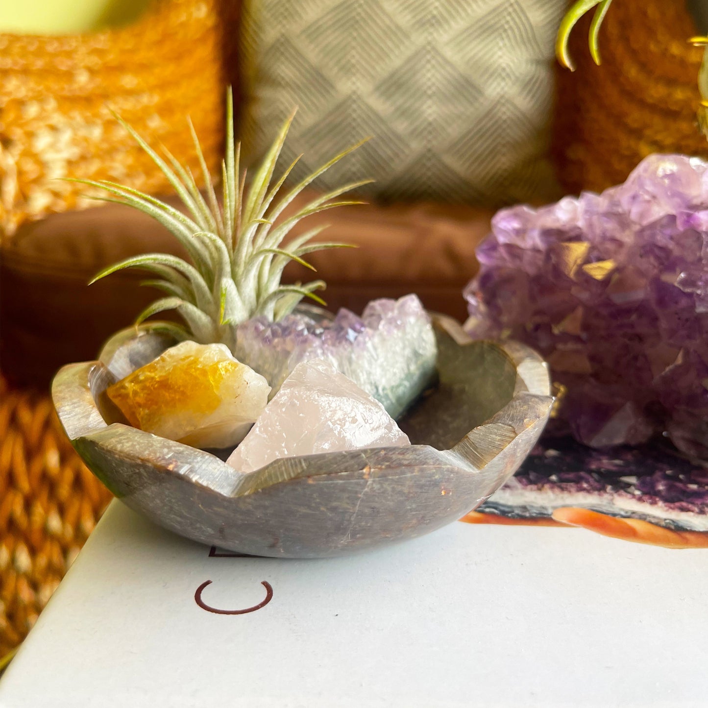 4" Scallop Detail Marble Bowl Air Plant Display with Crystals, Includes Air Plant, Amethyst, Citrine, Rose Quartz