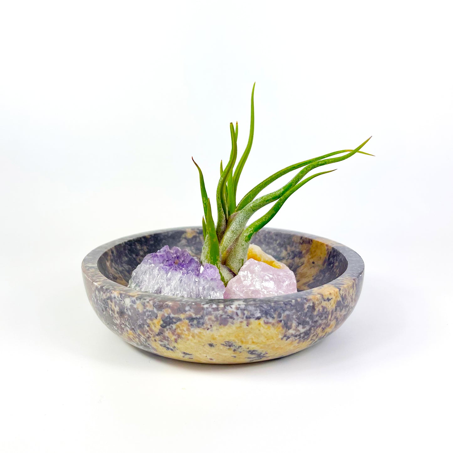 Housewarming Gifts - 4" Scallop Detail Marble Bowl Air Plant Display with Crystals, Includes Air Plant, Amethyst, Citrine, Rose Quartz