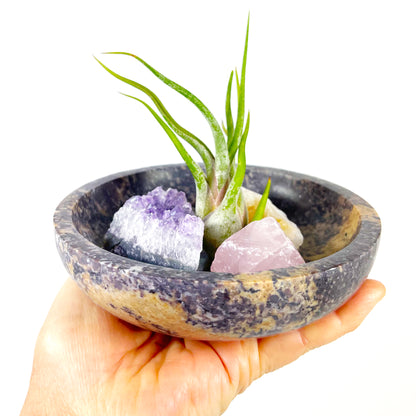 Housewarming Gifts - 4" Scallop Detail Marble Bowl Air Plant Display with Crystals, Includes Air Plant, Amethyst, Citrine, Rose Quartz