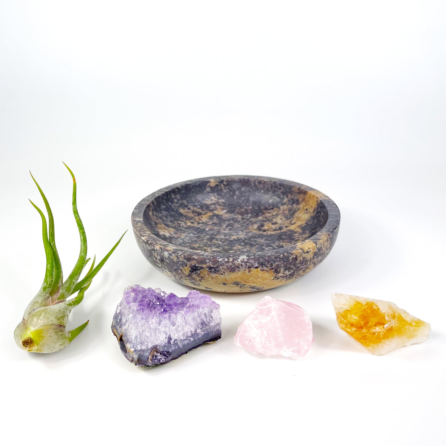 Housewarming Gifts - 4" Scallop Detail Marble Bowl Air Plant Display with Crystals, Includes Air Plant, Amethyst, Citrine, Rose Quartz