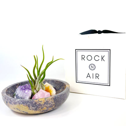 Housewarming Gifts - 4" Scallop Detail Marble Bowl Air Plant Display with Crystals, Includes Air Plant, Amethyst, Citrine, Rose Quartz