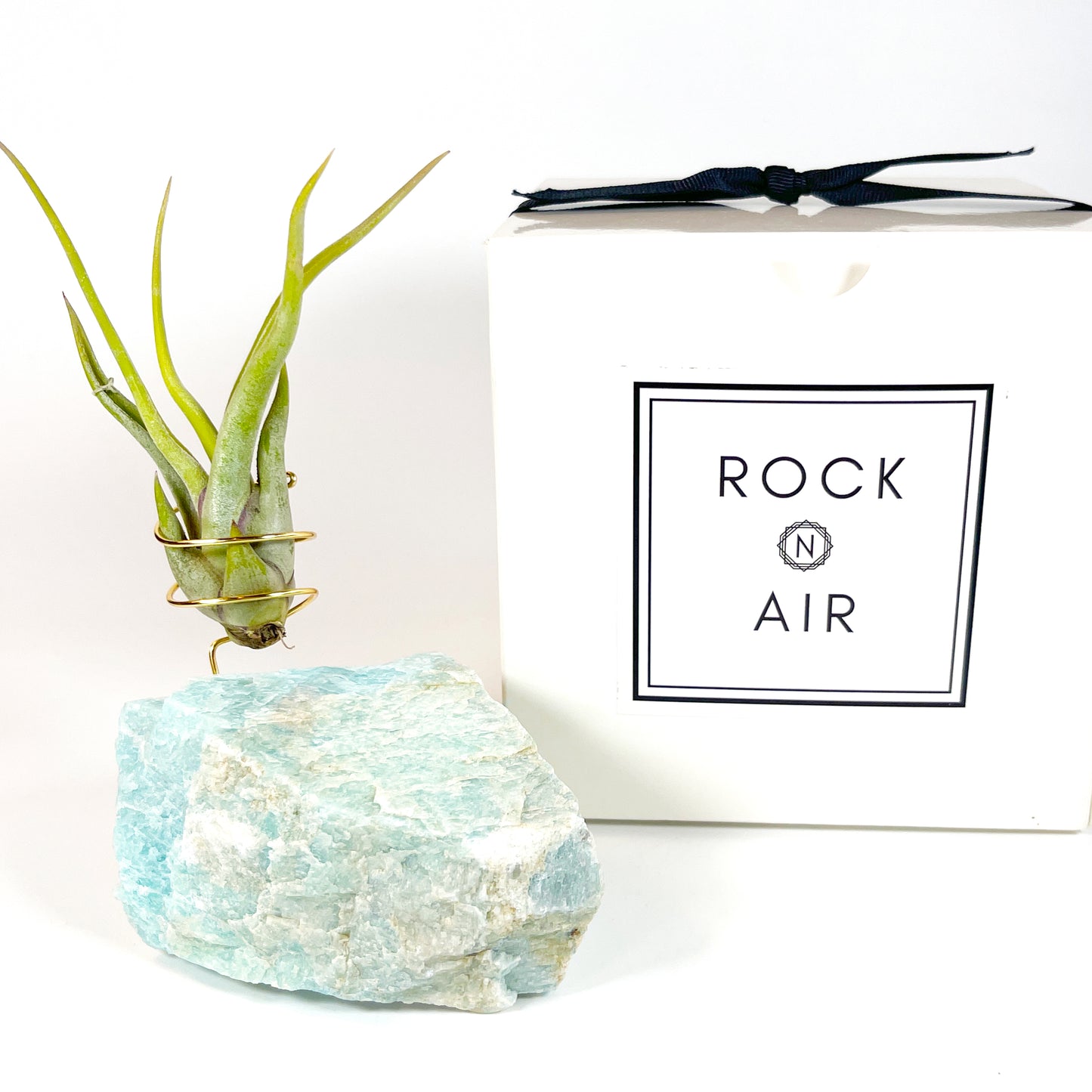 Blue Green Amazonite Air Plant Holder - Tillandsia Caput Medusae Plant and Gift Box (Copy)