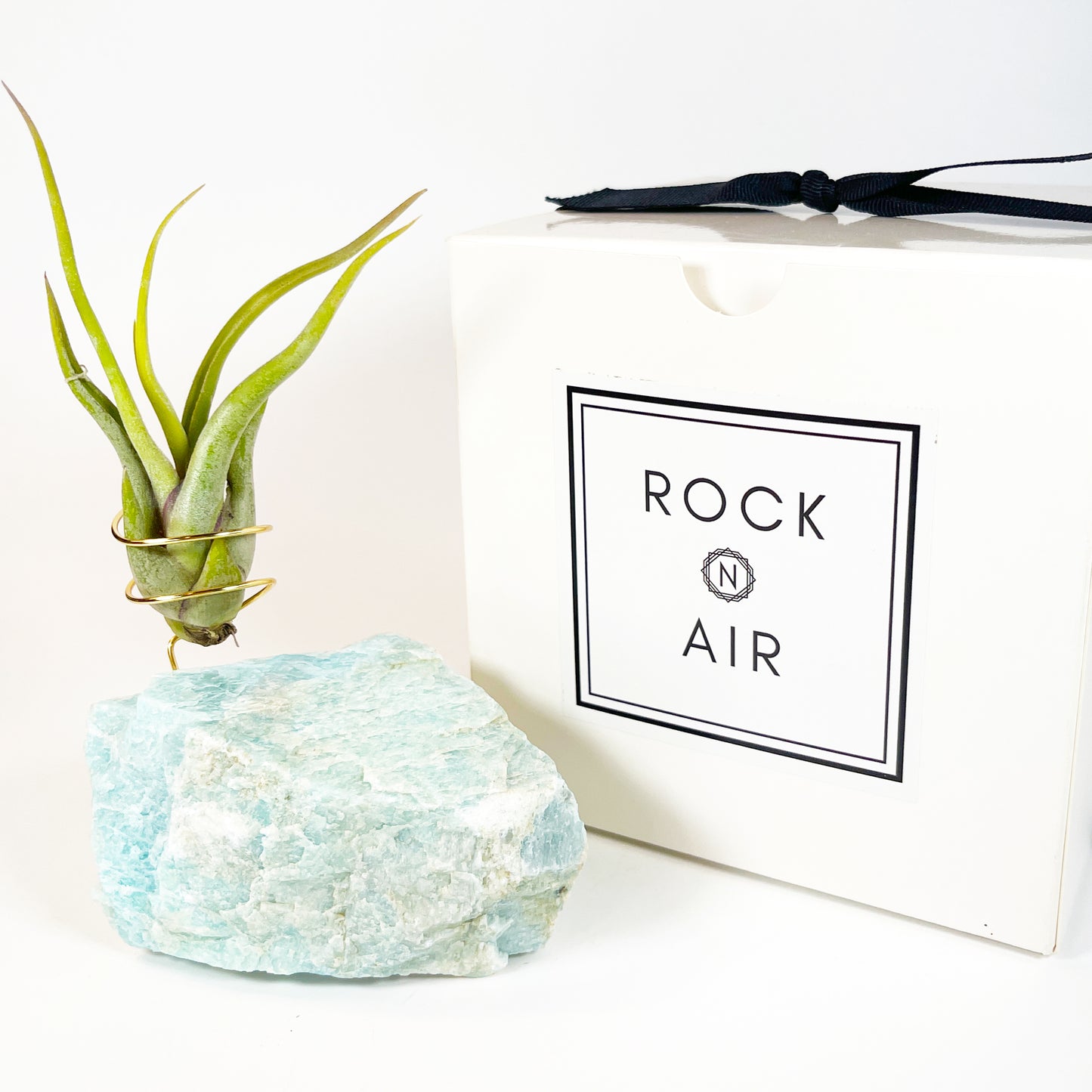 Blue Green Amazonite Air Plant Holder - Tillandsia Caput Medusae Plant and Gift Box (Copy)