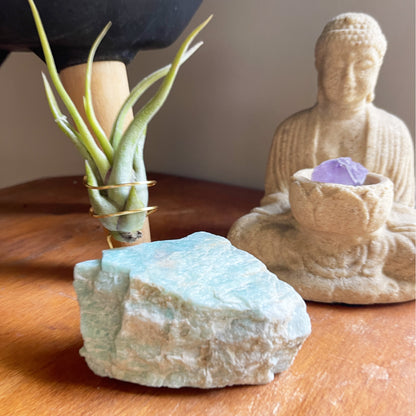 Blue Green Amazonite Air Plant Holder - Tillandsia Caput Medusae Plant and Gift Box (Copy)