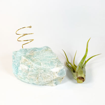 Blue Green Amazonite Air Plant Holder - Tillandsia Caput Medusae Plant and Gift Box (Copy)