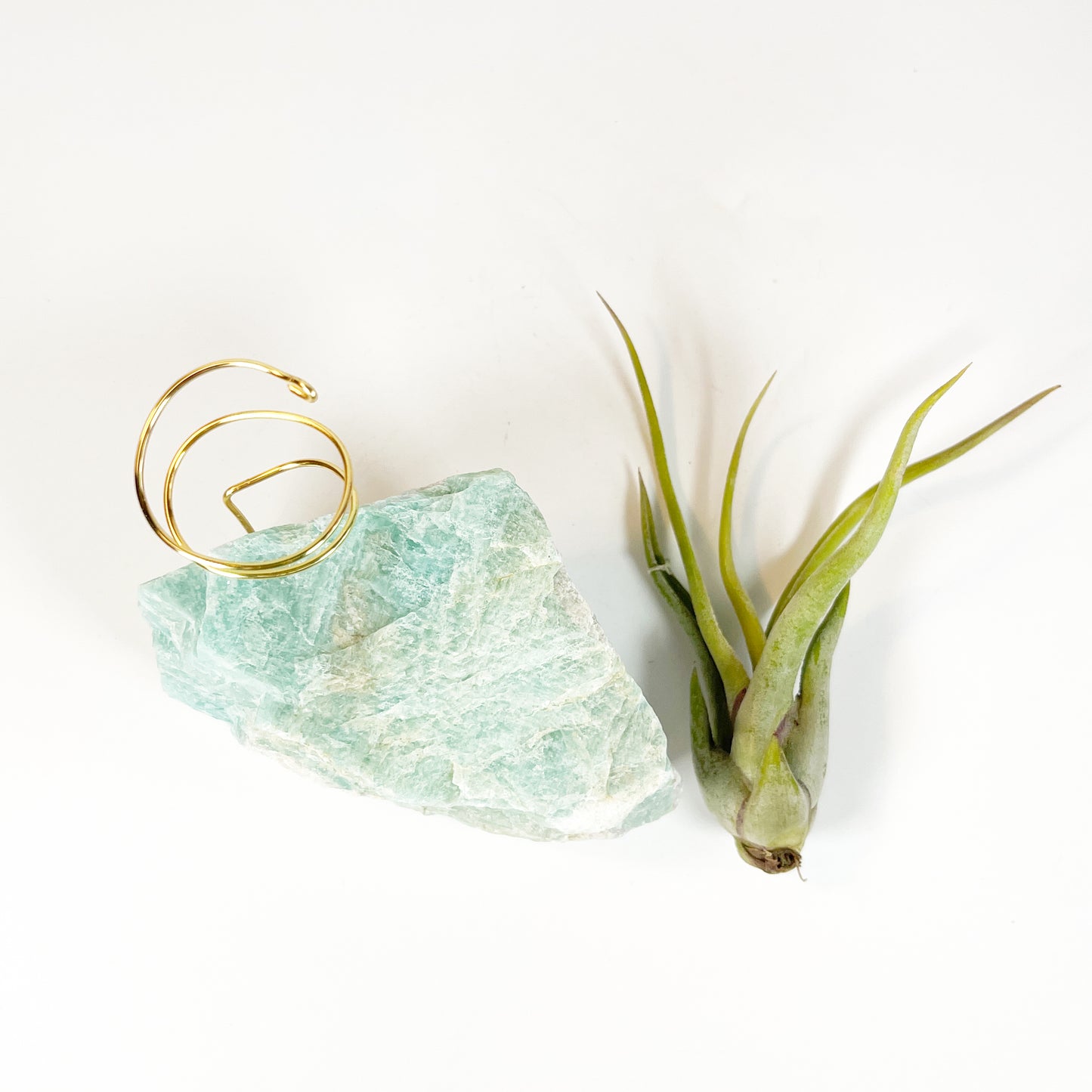 Blue Green Amazonite Air Plant Holder - Tillandsia Caput Medusae Plant and Gift Box (Copy)