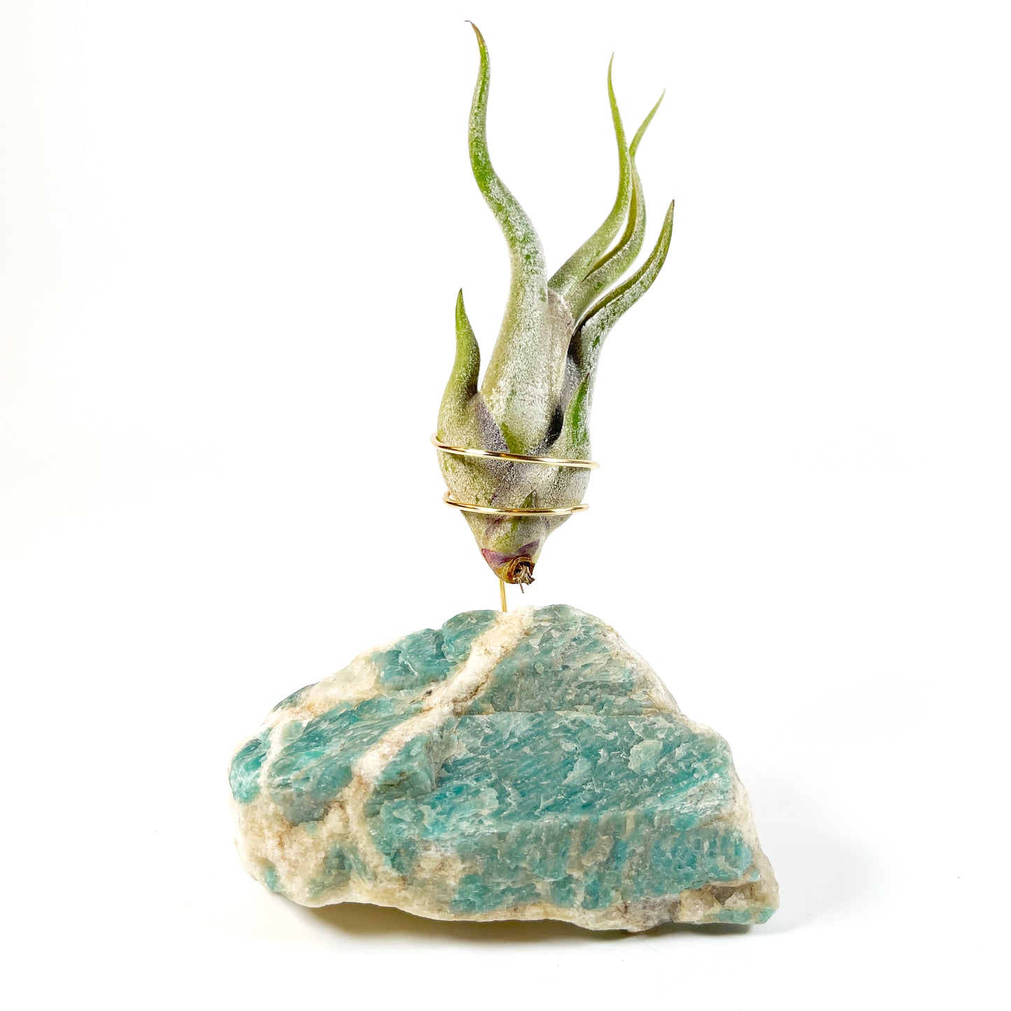 One-of-a-Kind Amazonite Stone Air Plant Holder – Unique Plant Lover Gift