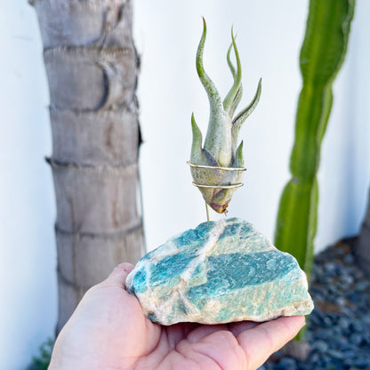 One-of-a-Kind Amazonite Stone Air Plant Holder – Unique Plant Lover Gift