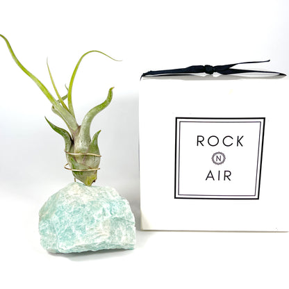 Decorative Rock like Amazonite Crystal air plant holder next to a box labeled 'Rock n Air' on a white background