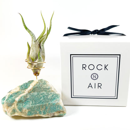 One-of-a-Kind Amazonite Stone Air Plant Holder – Unique Plant Lover Gift