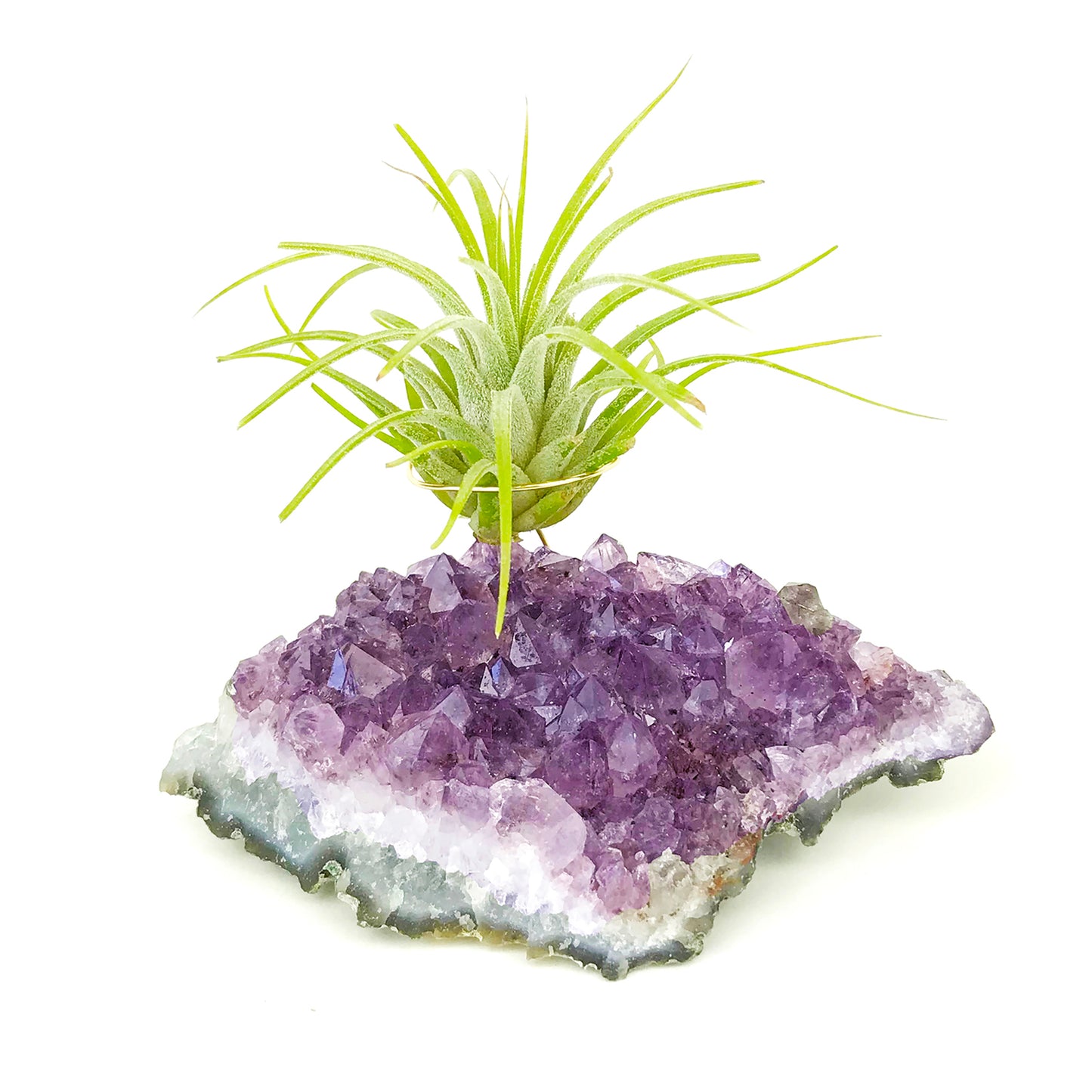 Amethyst Crystal Air Plant Holder Gift – Unique Thank You Gift Box with Live Air Plant