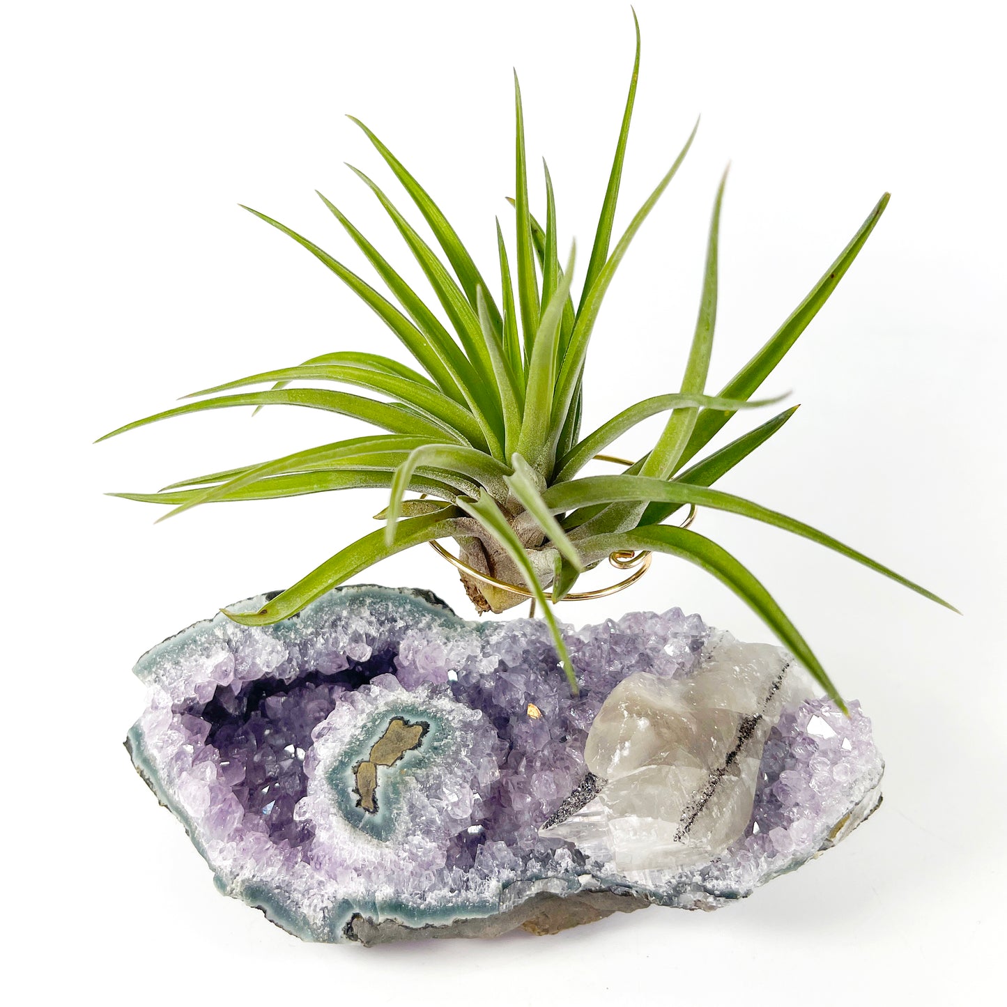One-of-a-Kind Air Plant Holder made from Large Amethyst Crystal Stalactite with Eye Detail