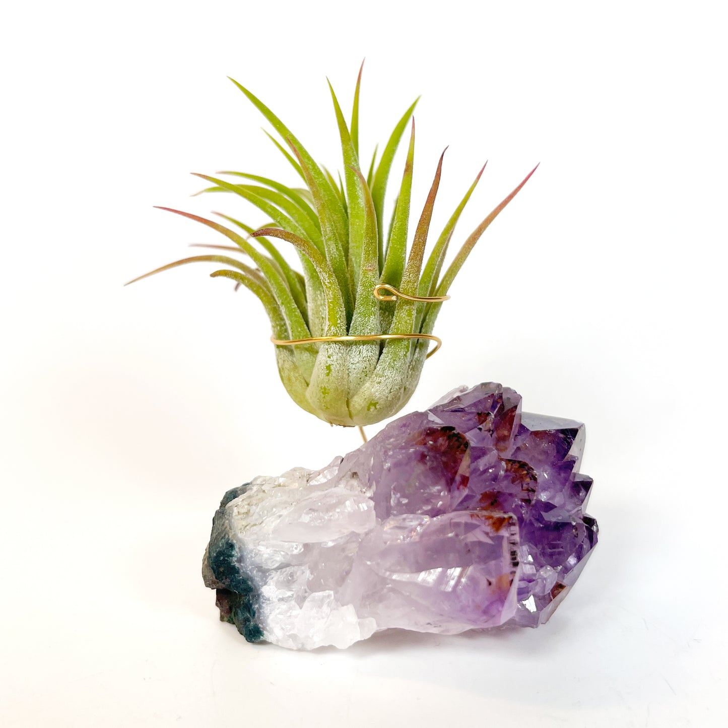 Unique Mother's Day Gift for Plant Lovers - One-of-a-Kind Amethyst Gemstone Air Plant Holder - Includes Tillandsia Plant and Love You! Gift Box