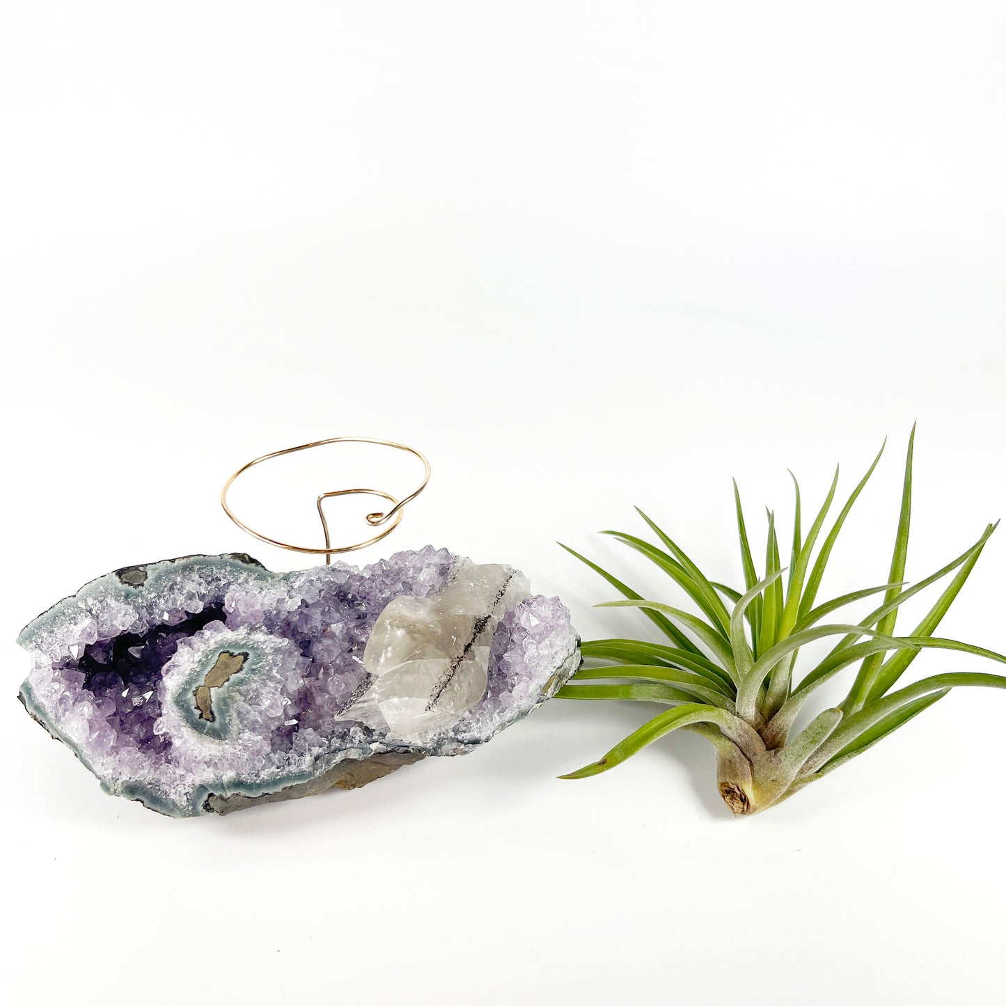 One-of-a-Kind Air Plant Holder made from Large Amethyst Crystal Stalactite with Eye Detail