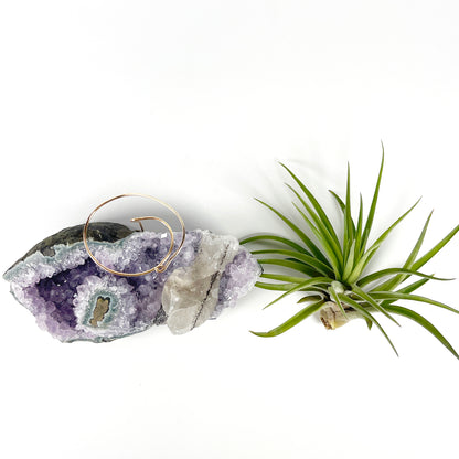 One-of-a-Kind Air Plant Holder made from Large Amethyst Crystal Stalactite with Eye Detail