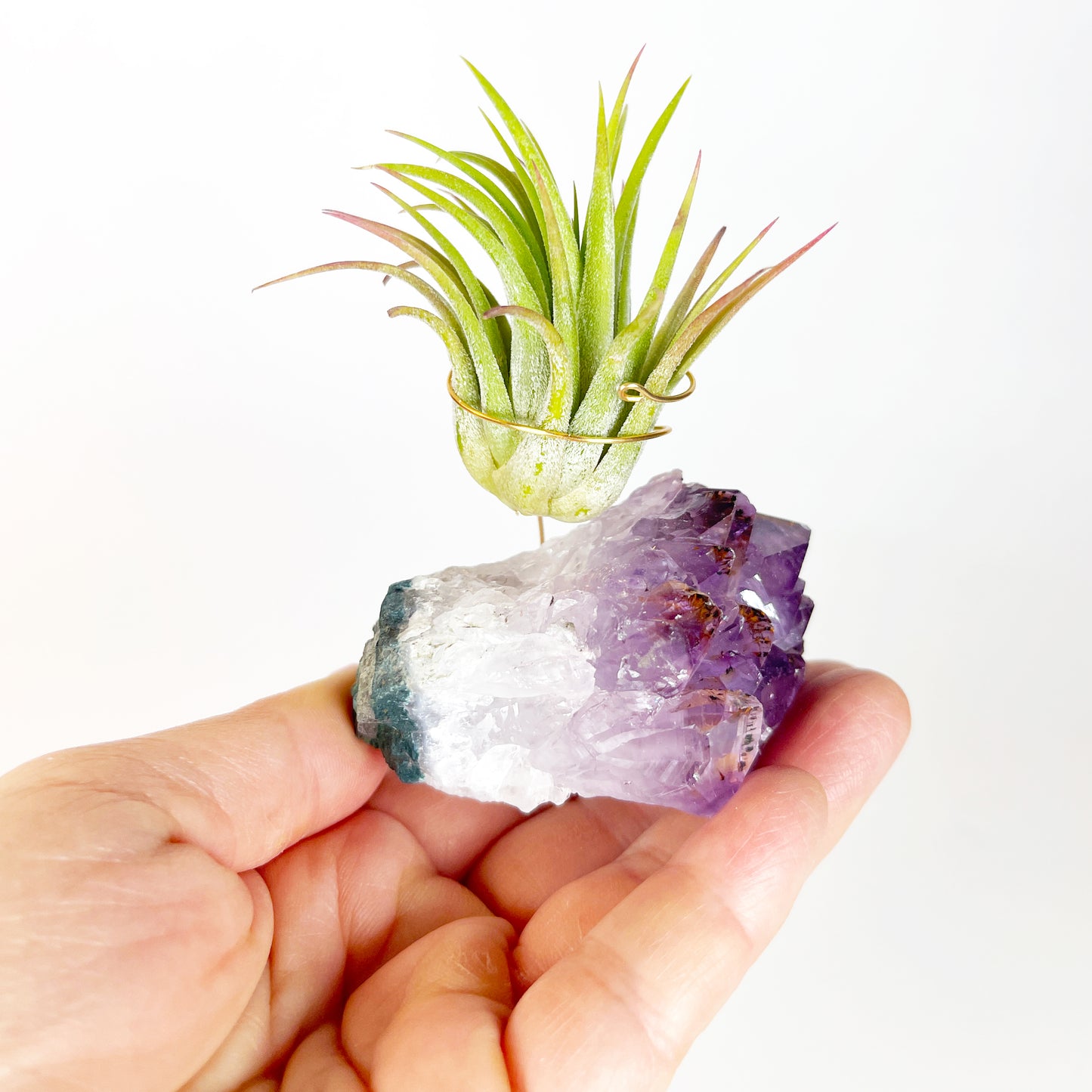 Unique Mother's Day Gift for Plant Lovers - One-of-a-Kind Amethyst Gemstone Air Plant Holder - Includes Tillandsia Plant and Love You! Gift Box