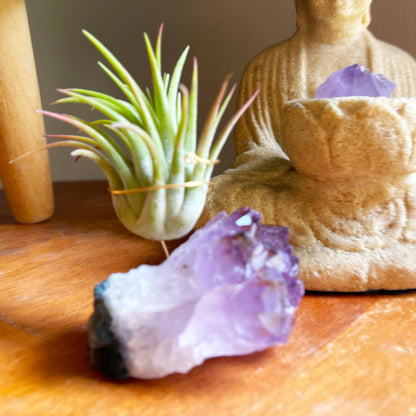 Unique Mother's Day Gift for Plant Lovers - One-of-a-Kind Amethyst Gemstone Air Plant Holder - Includes Tillandsia Plant and Love You! Gift Box