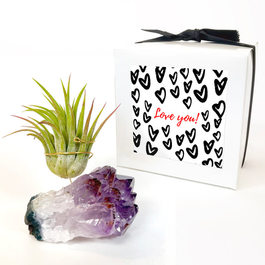 Unique Mother's Day Gift for Plant Lovers - One-of-a-Kind Amethyst Gemstone Air Plant Holder - Includes Tillandsia Plant and Love You! Gift Box
