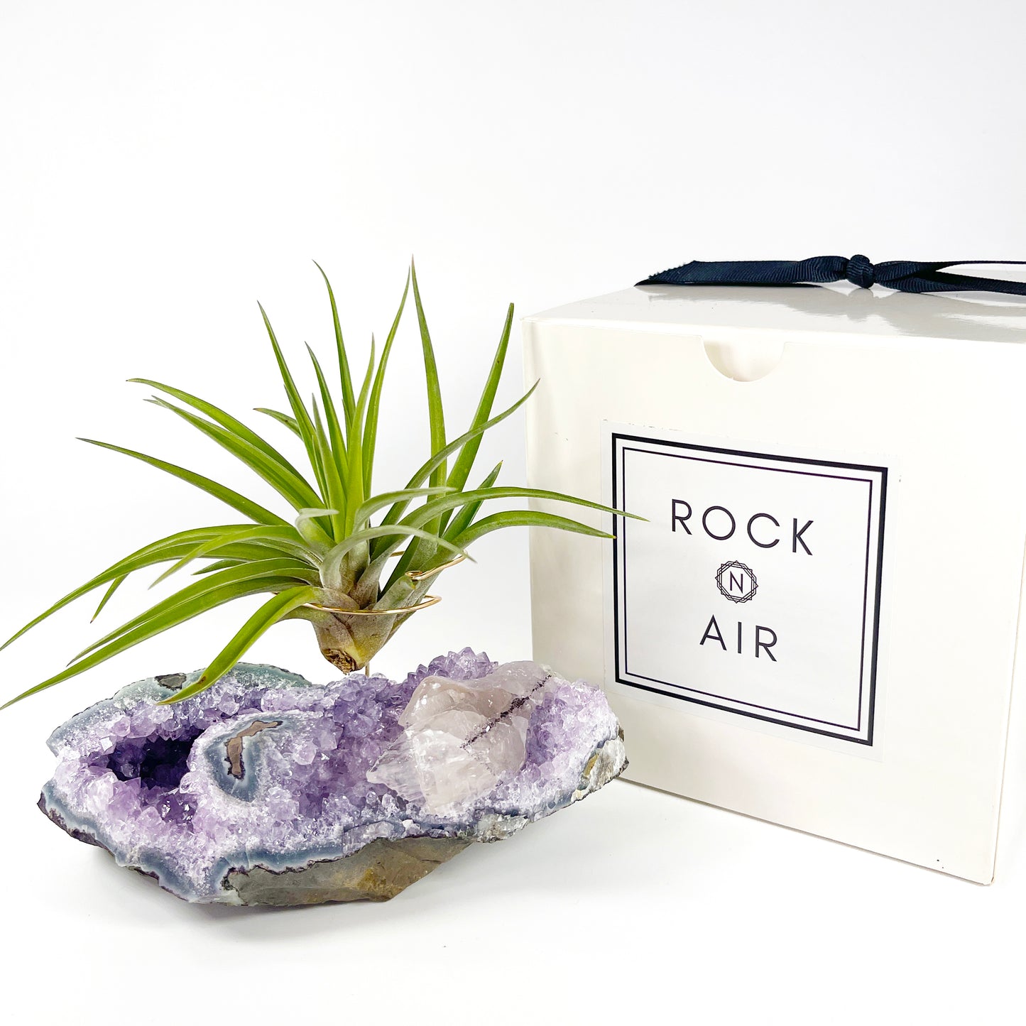 One-of-a-Kind Air Plant Holder made from Large Amethyst Crystal Stalactite with Eye Detail